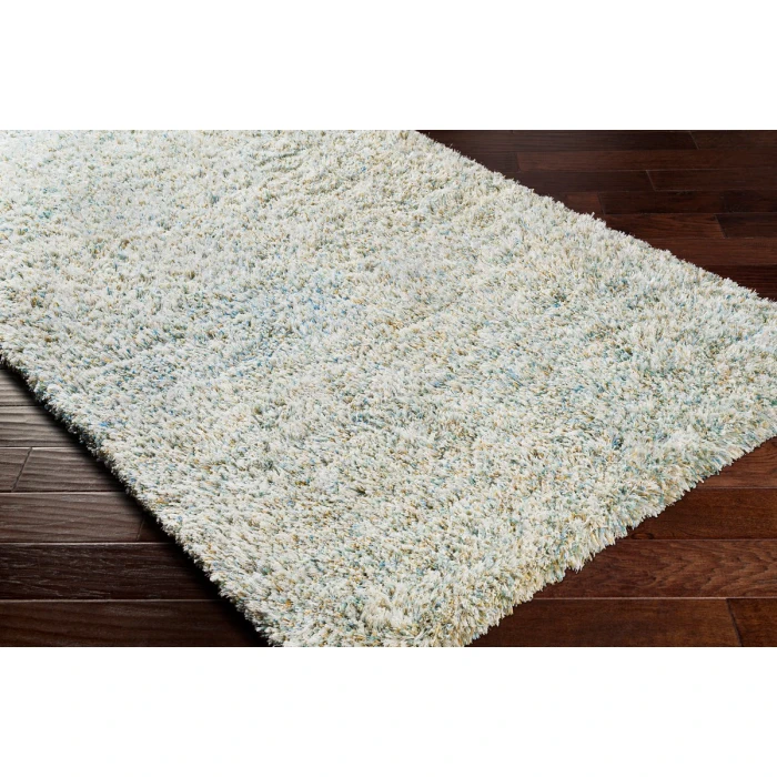 Livabliss Anaheim AHM-2300 2 x 3 Rug