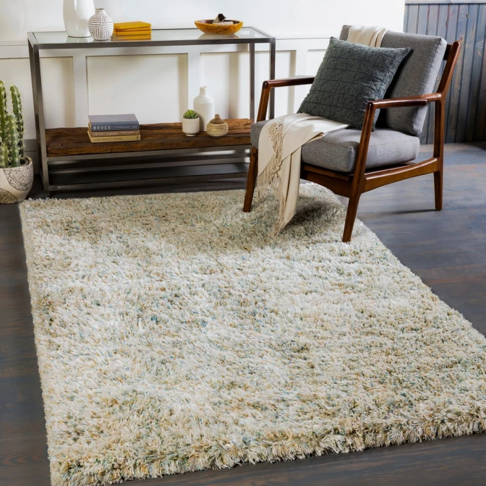 Livabliss Anaheim AHM-2300 2 x 3 Rug