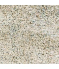 Livabliss Anaheim AHM-2300 2 x 3 Rug
