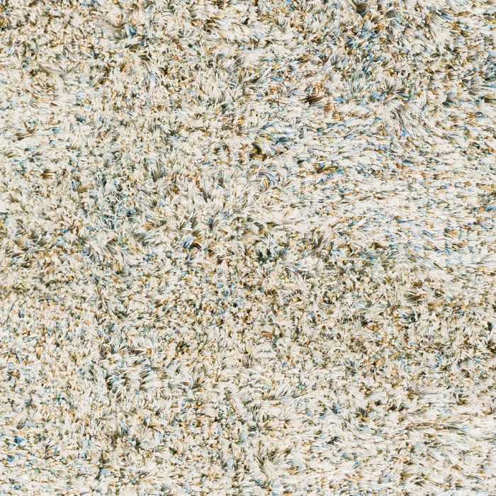 Livabliss Anaheim AHM-2300 2 x 3 Rug