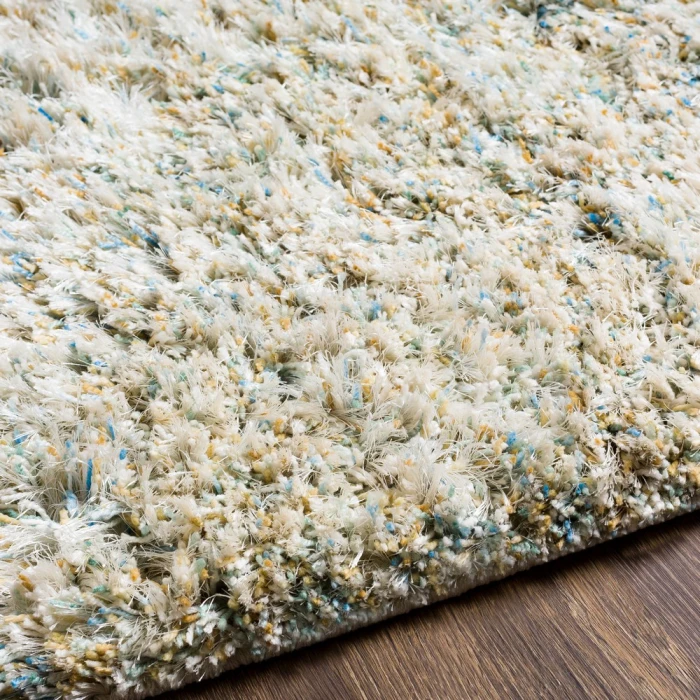 Livabliss Anaheim AHM-2300 2 x 3 Rug