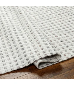 Surya Ariel AIL2300 Light Grey Taupe Area Rug 12 ft. X 15 ft. Rectangle