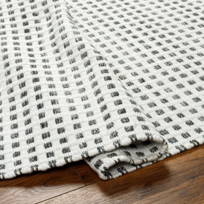 Surya Ariel Rug AIL2302