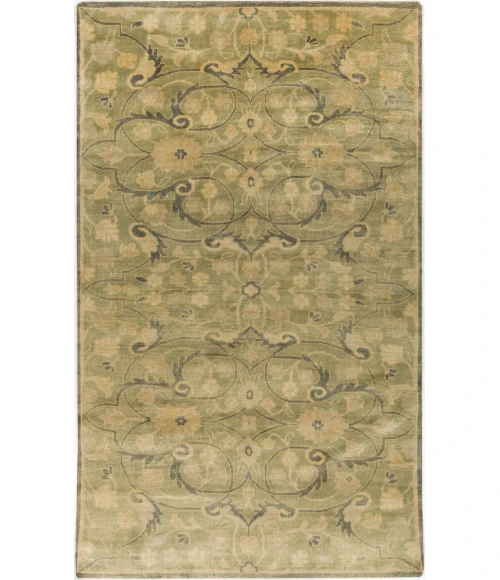 Surya Ainsley AIN-1013-39x59 rug