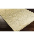 Surya Ainsley AIN-1013-39x59 rug