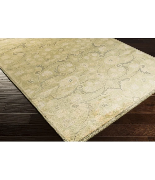 Surya Ainsley AIN-1013-39x59 rug