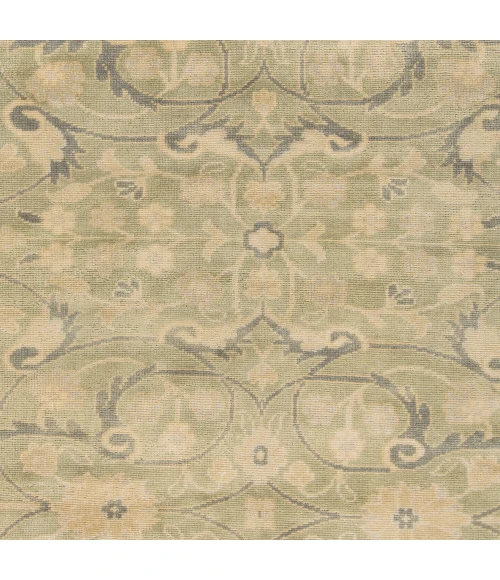 Surya Ainsley AIN-1013-39x59 rug
