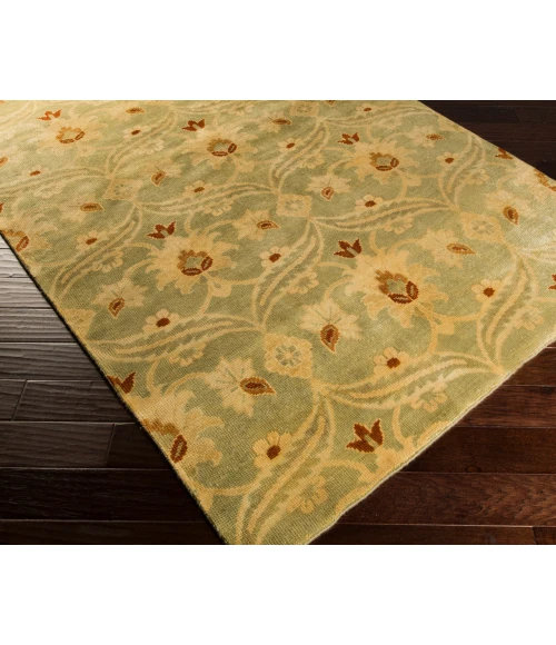 Surya Ainsley AIN-1014-56x86 rug