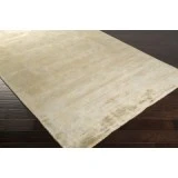 Surya Ainsley AIN-1017-39x59 rug