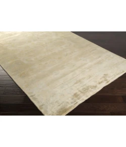 Surya Ainsley AIN1017 Beige Pale Blue Area Rug 8 ft. X 11 ft. Rectangle