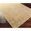 Surya Ainsley AIN-1017-39x59 rug