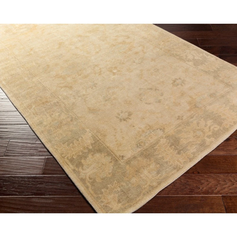 Surya Ainsley AIN-1017-39x59 rug