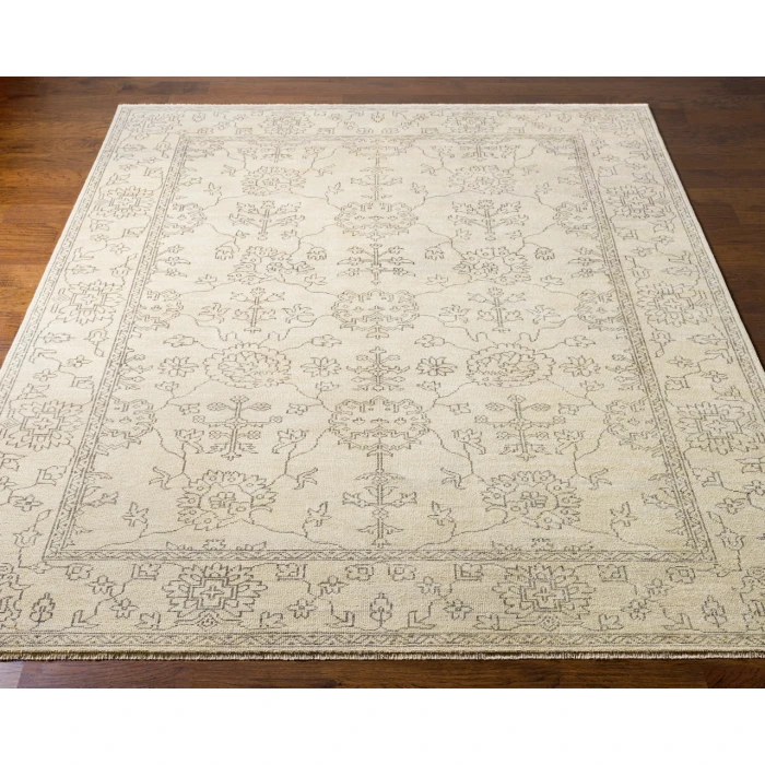 Surya Ainsley AIN-1018-39x59 rug