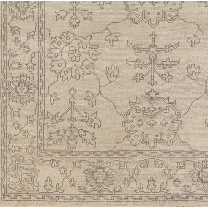 Surya Ainsley AIN-1018-39x59 rug