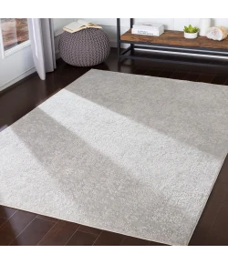 Livabliss Aisha AIS2306 Light Gray White Area Rug 12 ft. X 15 ft. Rectangle