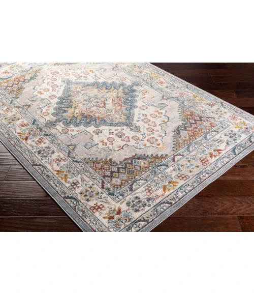 Livabliss Ankara AKR-2300 Area Rug