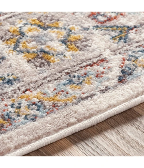 Livabliss Ankara AKR-2301 Area Rug