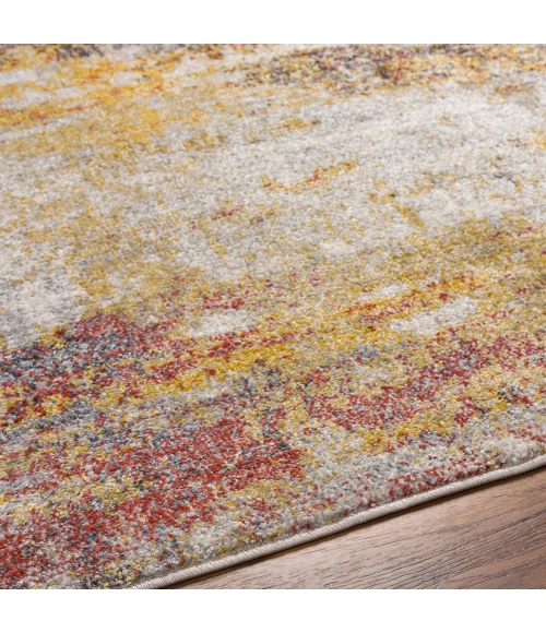 Livabliss Ankara AKR-2316 Area Rug