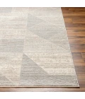 Livabliss Alder Rug ALD2310