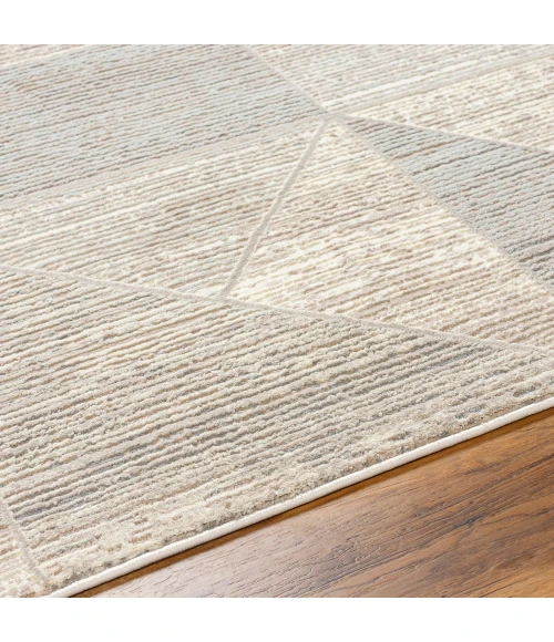 Livabliss Alder Rug ALD2310