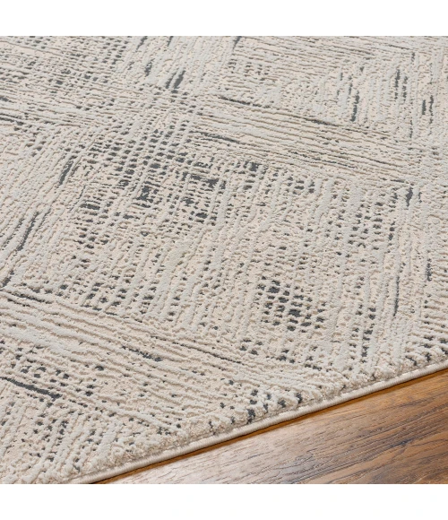 Livabliss Alder Rug ALD2313
