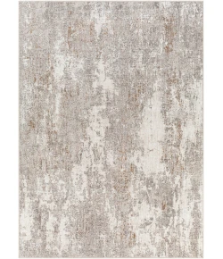 Livabliss Allegro ALG2304 Ivory Light Gray Area Rug 5 ft. 3 in. X 7 ft. Rectangle