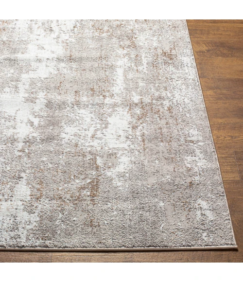 Livabliss Allegro Rug ALG2304