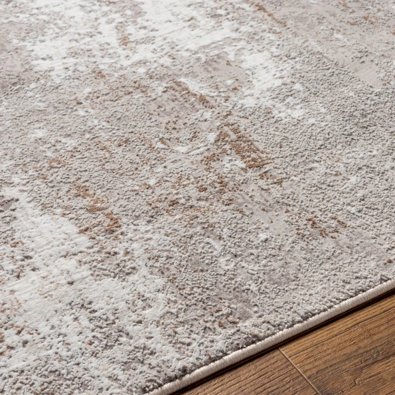 Livabliss Allegro Rug ALG2304
