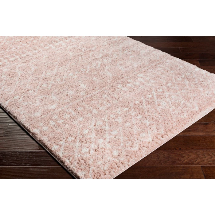 Livabliss Aliyah shag ALH-2300 2  x 3  Rug