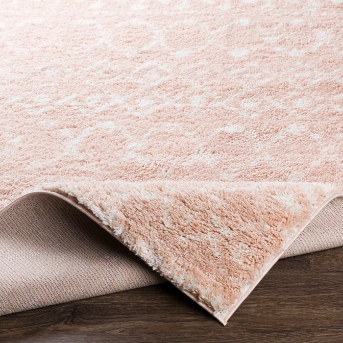 Livabliss Aliyah shag ALH-2300 2  x 3  Rug