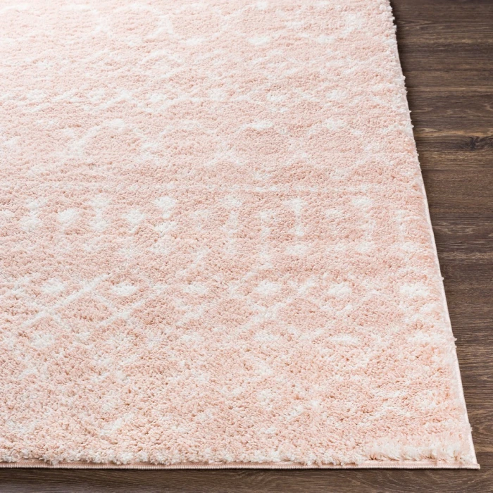 Livabliss Aliyah shag ALH-2300 2  x 3  Rug