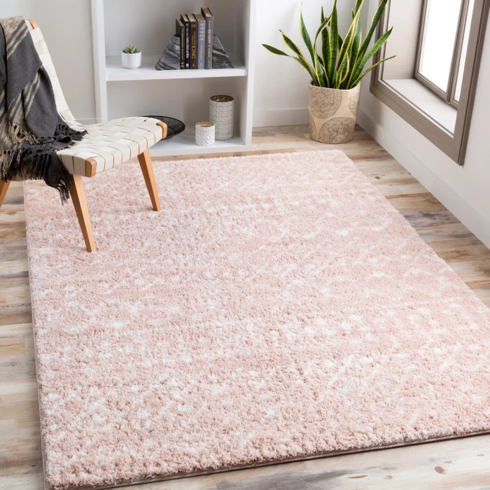 Livabliss Aliyah shag ALH-2300 2  x 3  Rug