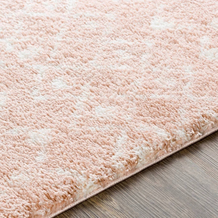 Livabliss Aliyah shag ALH-2300 2  x 3  Rug