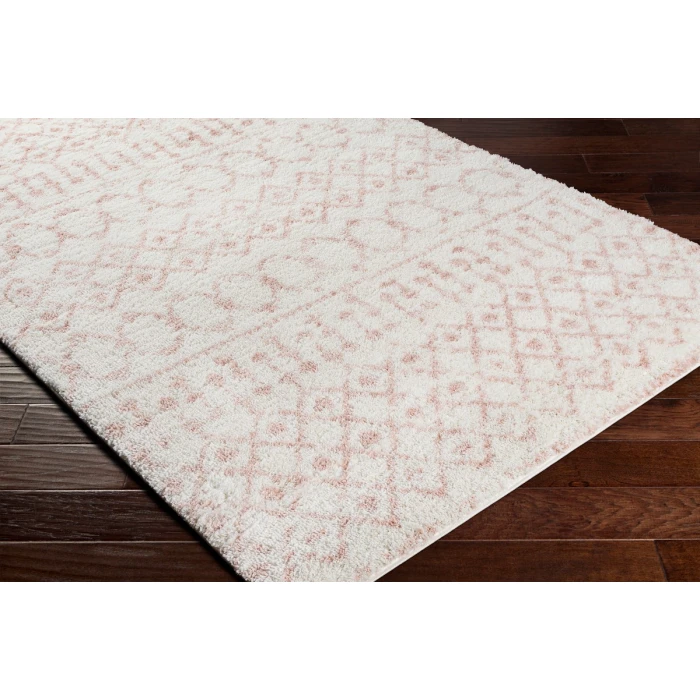 Livabliss Aliyah shag ALH-2301 2  x 3  Rug