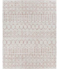 Livabliss Aliyah shag ALH-2301 7 10 x 10  Rug