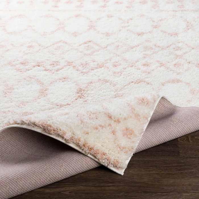 Livabliss Aliyah shag ALH-2301 2  x 3  Rug