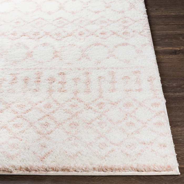 Livabliss Aliyah shag ALH-2301 2  x 3  Rug