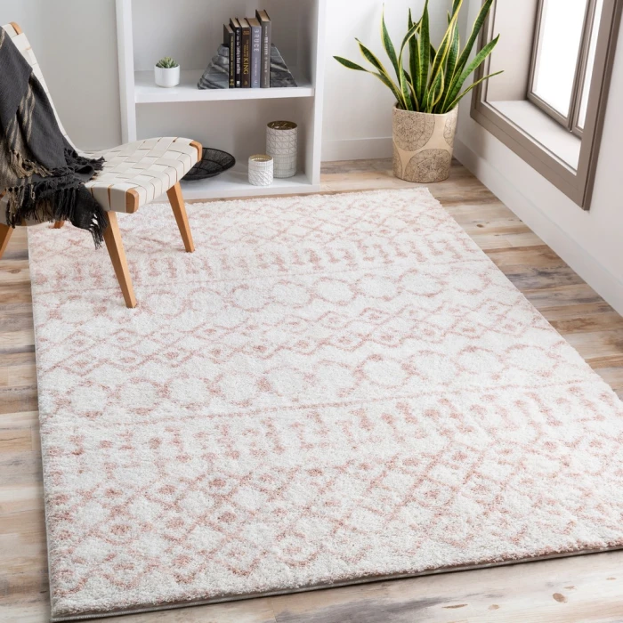 Livabliss Aliyah shag ALH-2301 2  x 3  Rug