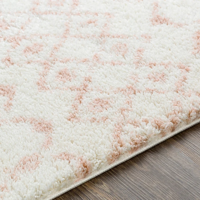 Livabliss Aliyah shag ALH-2301 2  x 3  Rug