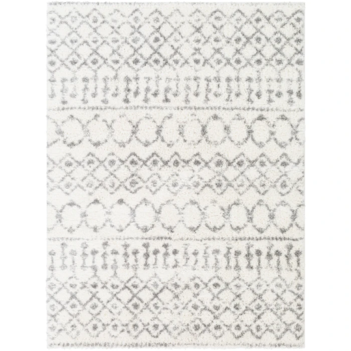 Livabliss Aliyah shag ALH-2302 7 10 x 10  Rug