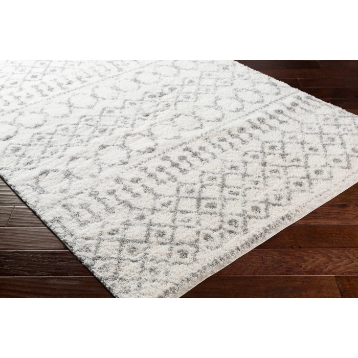 Livabliss Aliyah shag ALH-2302 7 10 x 10  Rug