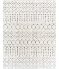 Livabliss Aliyah shag ALH-2302 7 10 x 10  Rug