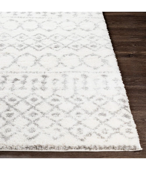 Livabliss Aliyah shag ALH-2302 5 3 x 7 3 Rug