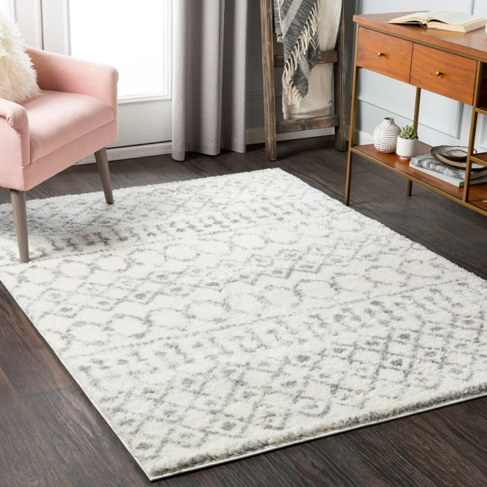 Livabliss Aliyah shag ALH-2302 7 10 x 10  Rug