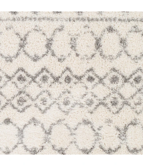 Livabliss Aliyah shag ALH-2302 5 3 x 7 3 Rug