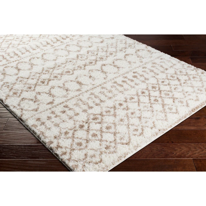 Livabliss Aliyah shag ALH-2303 5 3 x 7 3 Rug