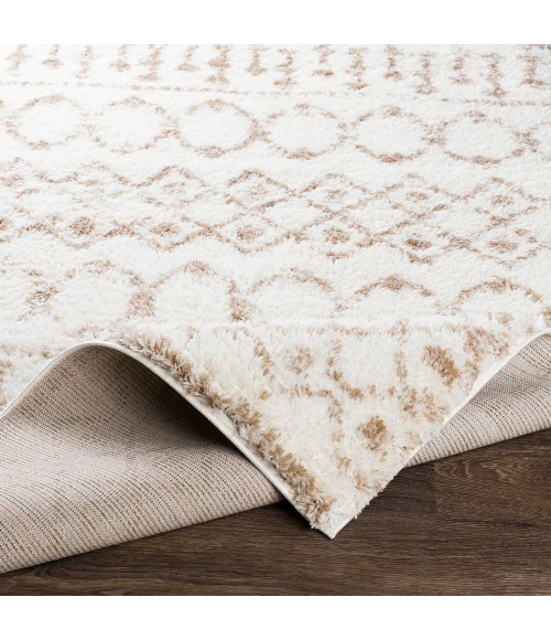 Livabliss Aliyah shag ALH-2303 6 7 x 9  Rug