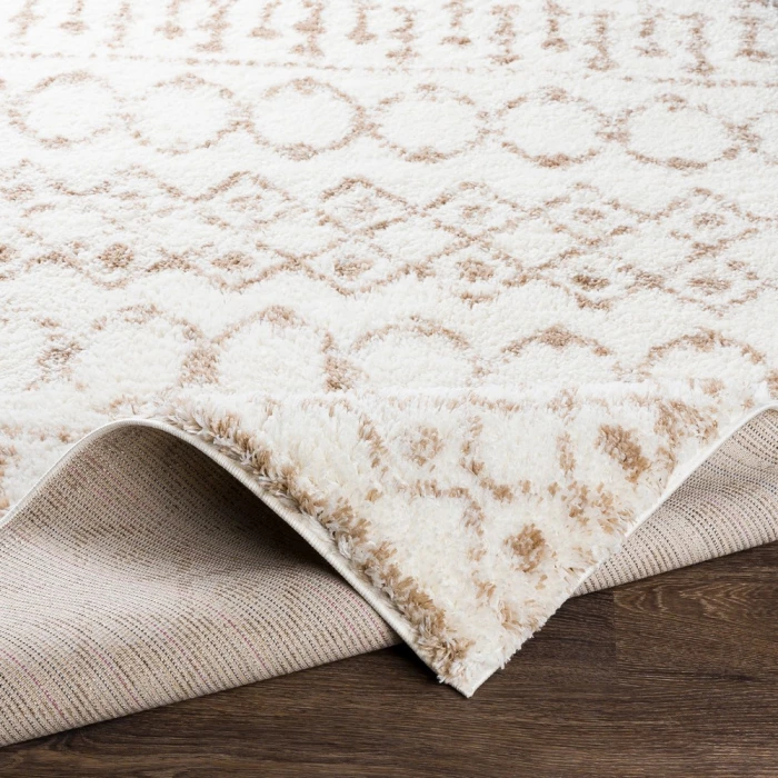 Livabliss Aliyah shag ALH-2303 5 3 x 7 3 Rug
