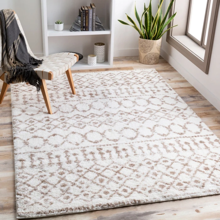 Livabliss Aliyah shag ALH-2303 5 3 x 7 3 Rug