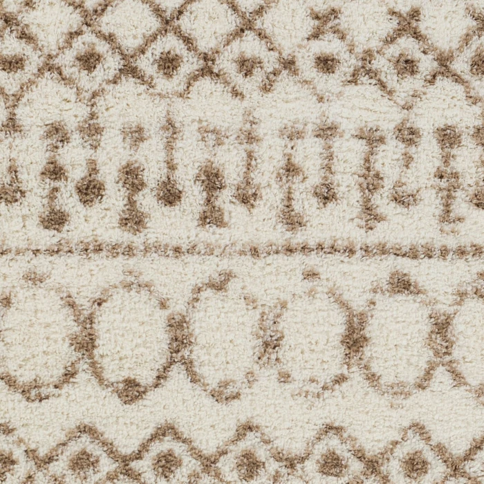Livabliss Aliyah shag ALH-2303 5 3 x 7 3 Rug